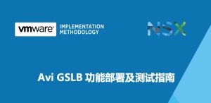 Read more about the article 【原创】Avi GSLB功能部署及测试指南-03-多场景验证