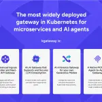 AI-Gateway系列_kagateway-09HTTPs-HTTP访问测试